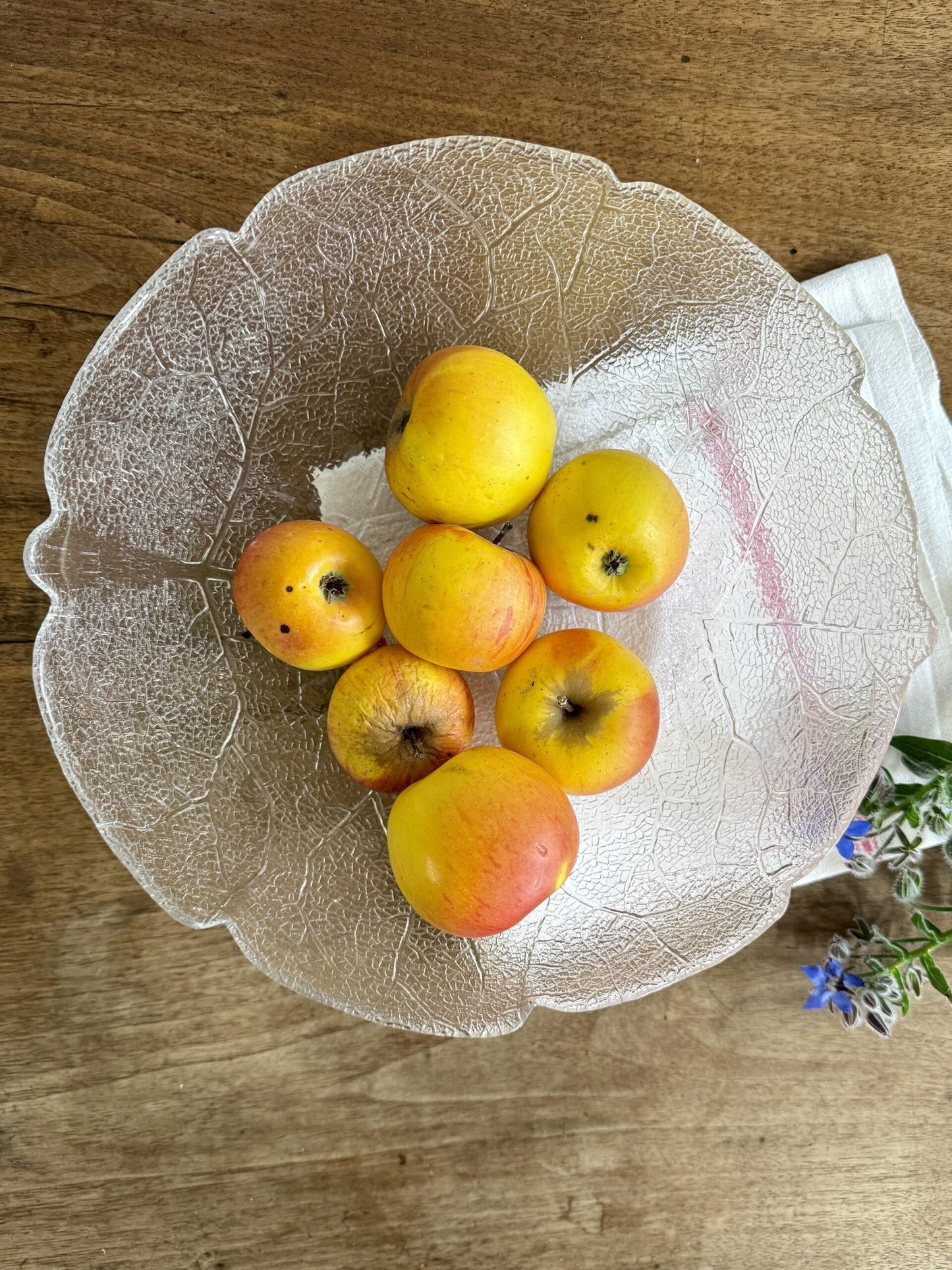 Saladier en verre en forme de feuille