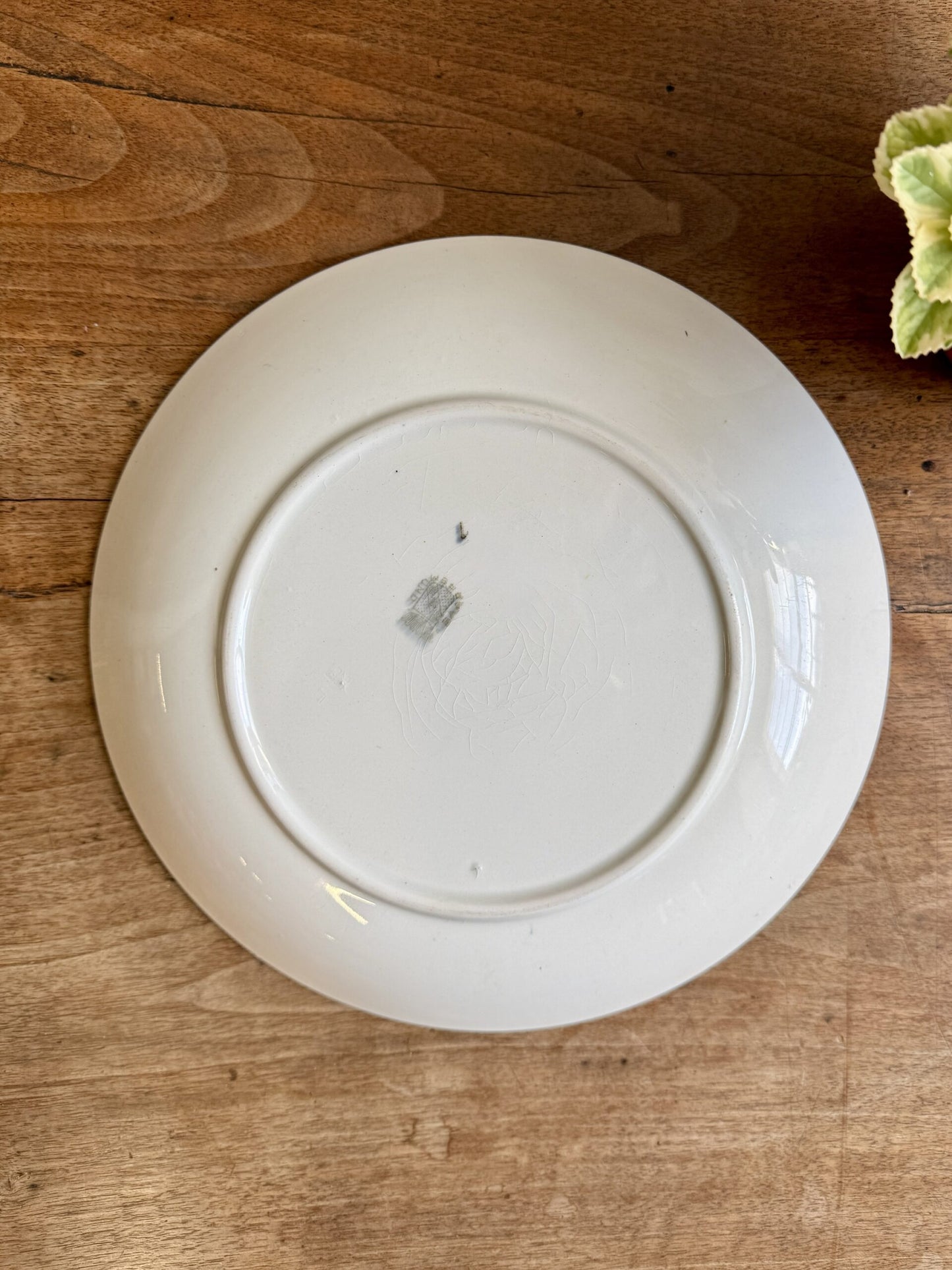 Plat rond de Sarreguemines