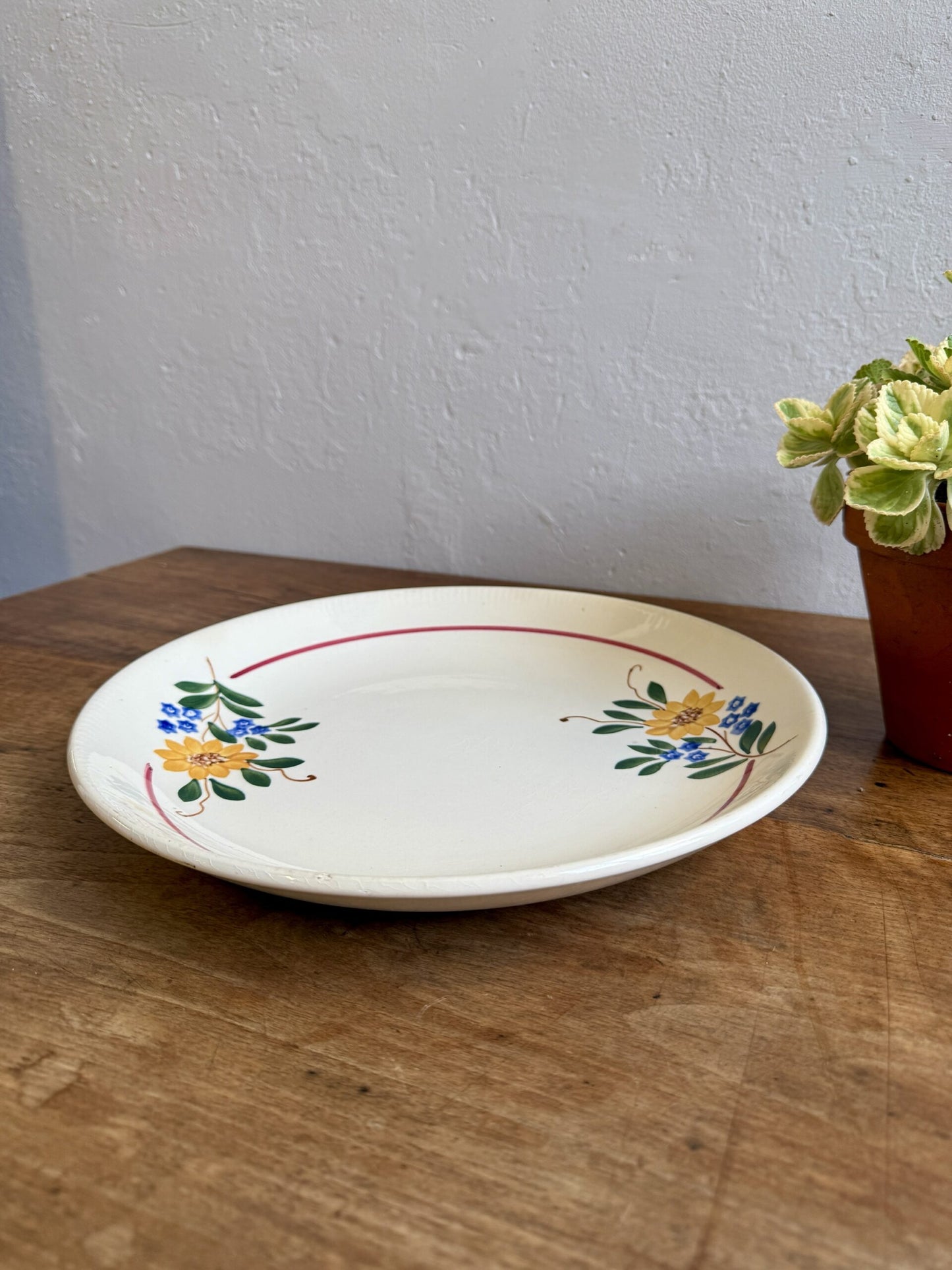 Plat rond de Sarreguemines