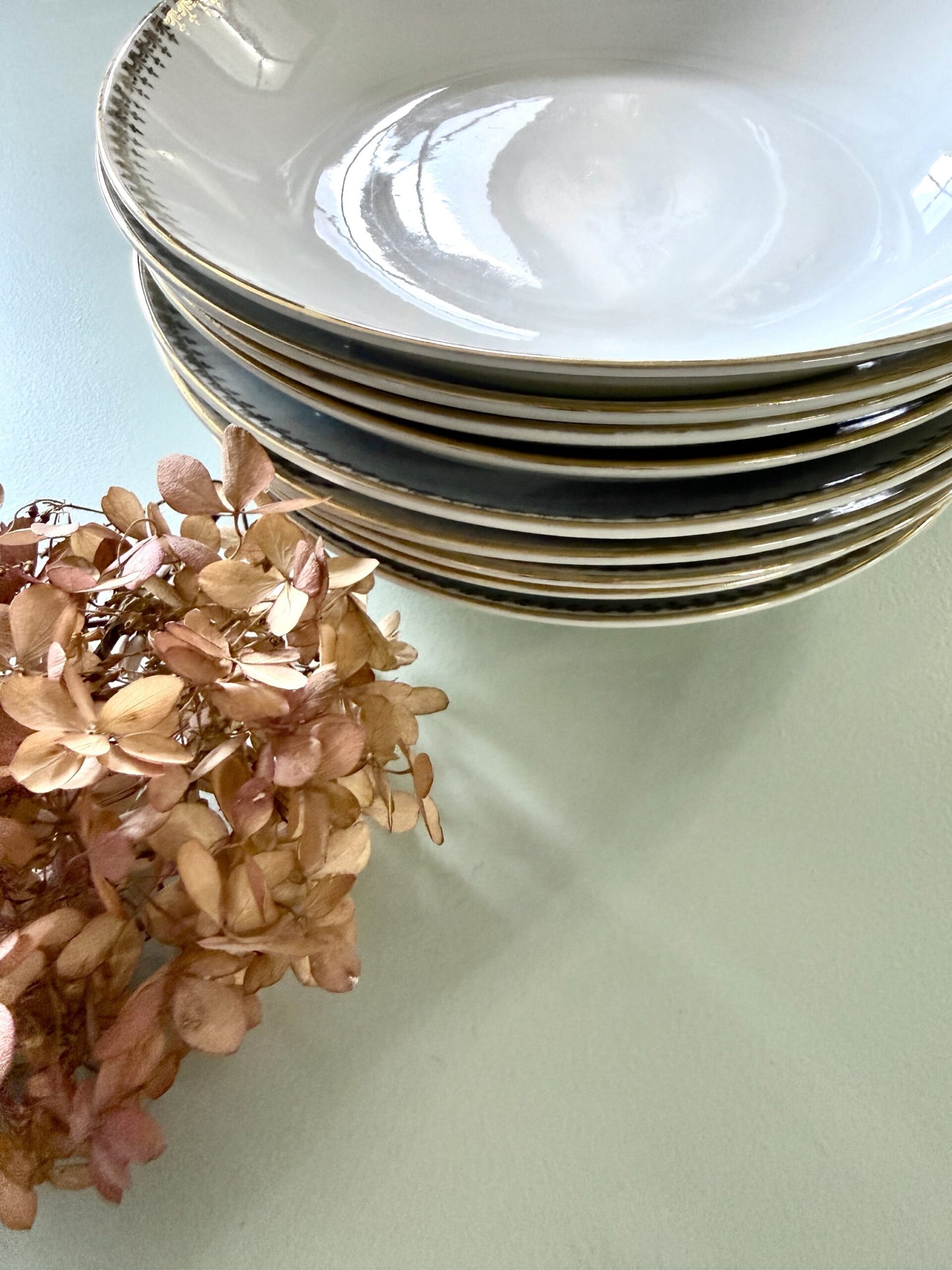 Assiettes creuses Strasbourg Lucien Engel - Lot de 9