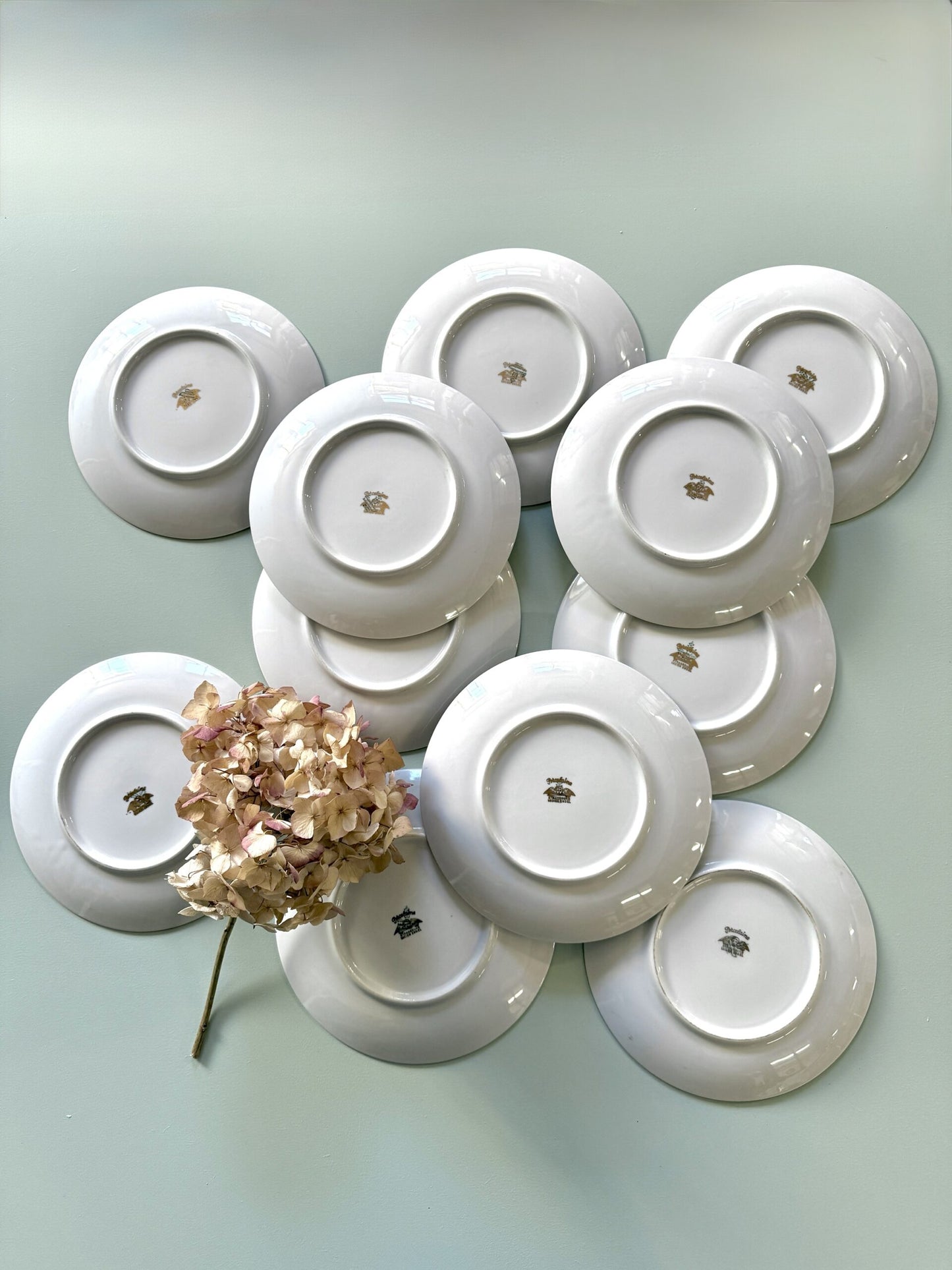 Assiettes plates en porcelaine liseré doré Lucien Engel - lot de 11