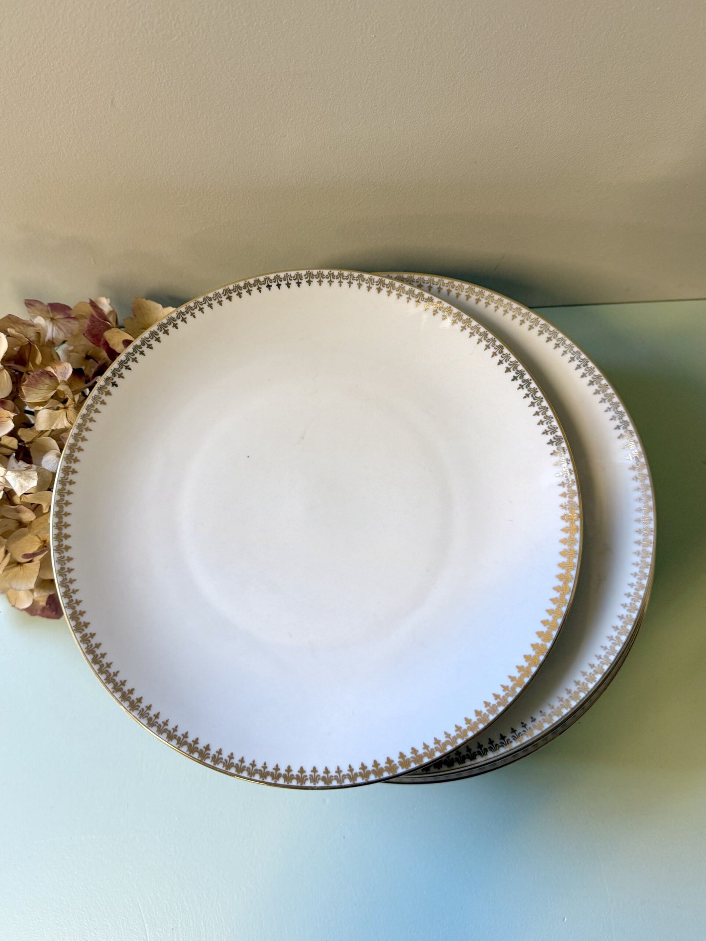 Assiettes plates en porcelaine liseré doré Lucien Engel - lot de 11