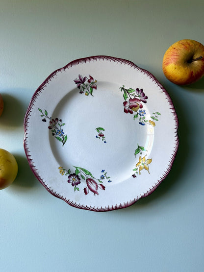 Compotier / coupe sur pied Strasbourg Sarreguemines