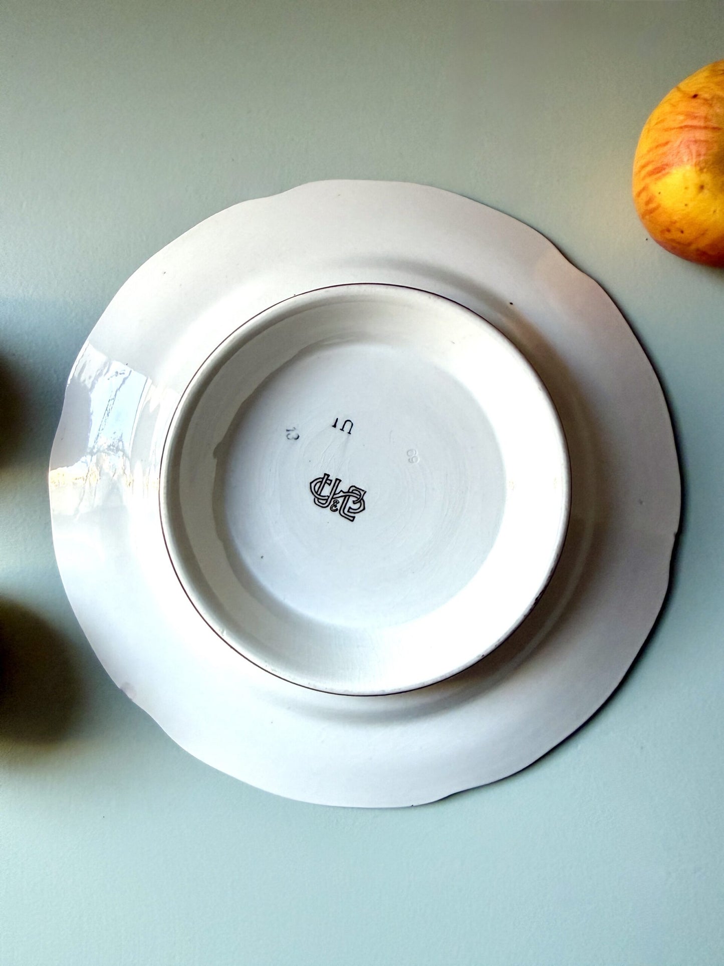 Compotier / coupe sur pied Strasbourg Sarreguemines