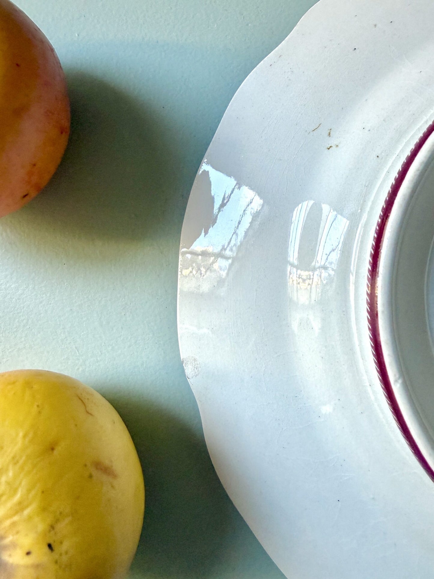 Compotier / coupe sur pied Strasbourg Sarreguemines