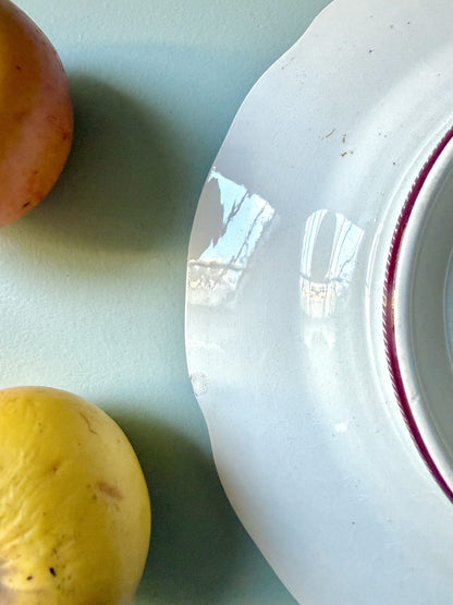 Compotier / coupe sur pied Strasbourg Sarreguemines