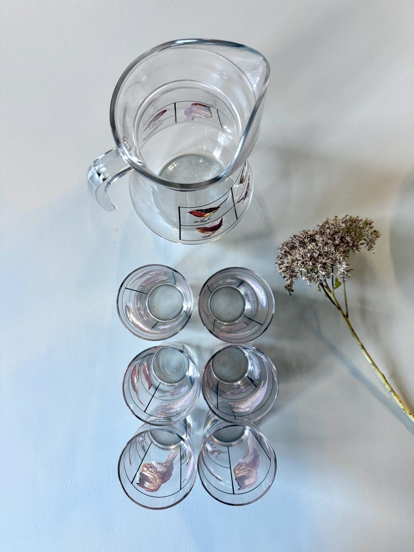 Carafe et lot de 6 verres motifs d’oiseaux de Luminarc