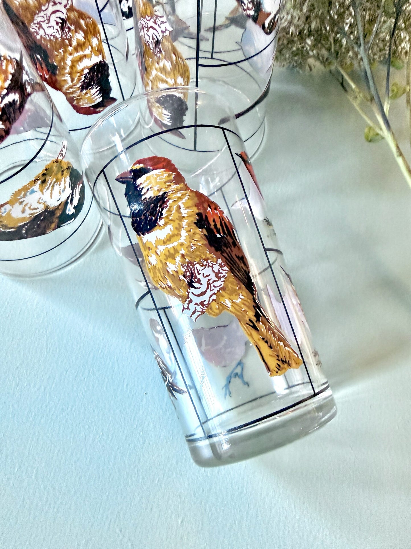 Carafe et lot de 6 verres motifs d’oiseaux de Luminarc