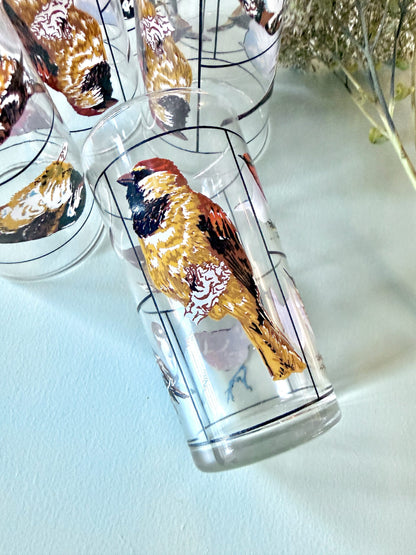 Carafe et lot de 6 verres motifs d’oiseaux de Luminarc