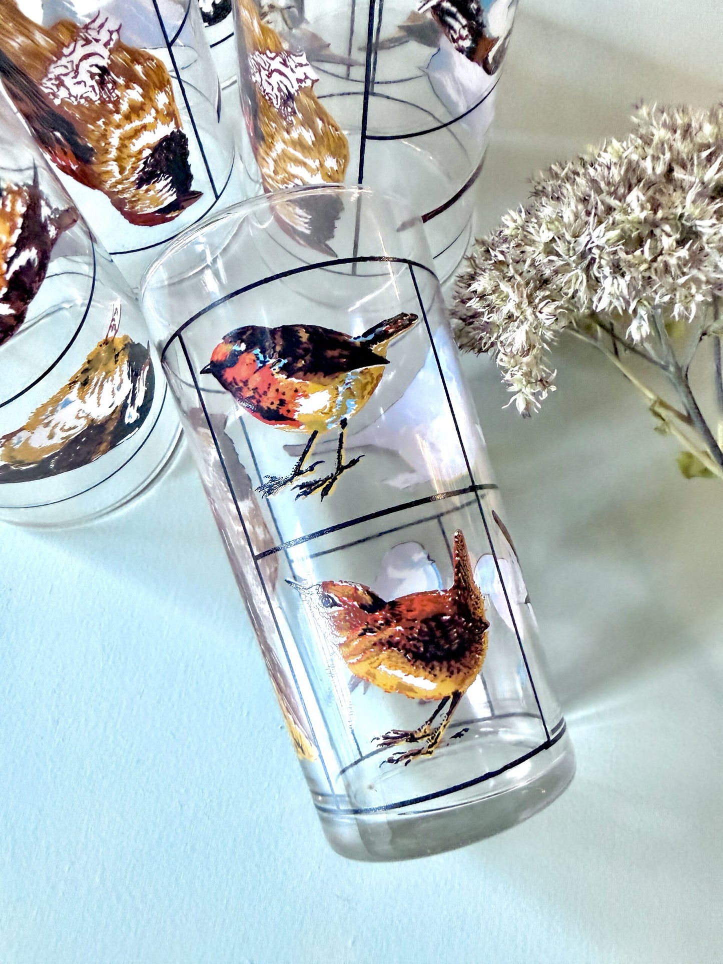 Carafe et lot de 6 verres motifs d’oiseaux de Luminarc