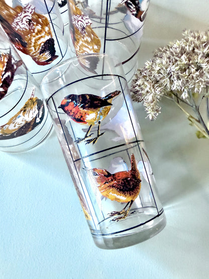 Carafe et lot de 6 verres motifs d’oiseaux de Luminarc