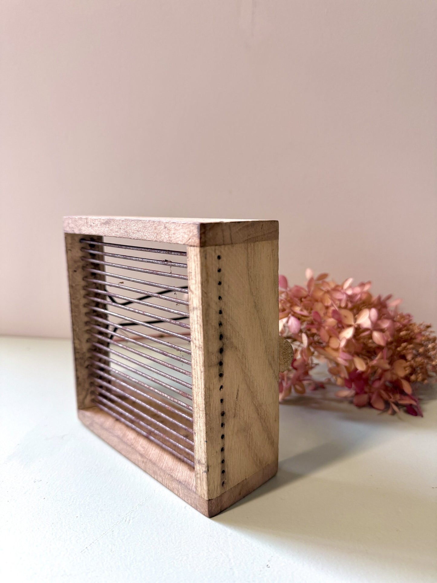 Ramasse-baies/myrtille en bois