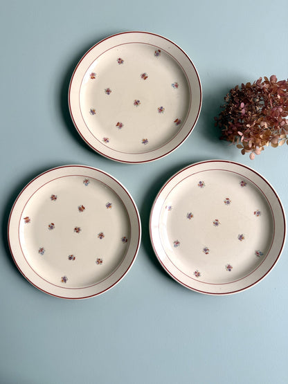 Assiettes plates en faïence - lot de 3