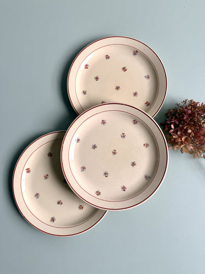 Assiettes plates en faïence - lot de 3