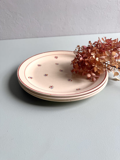 Assiettes plates en faïence - lot de 3