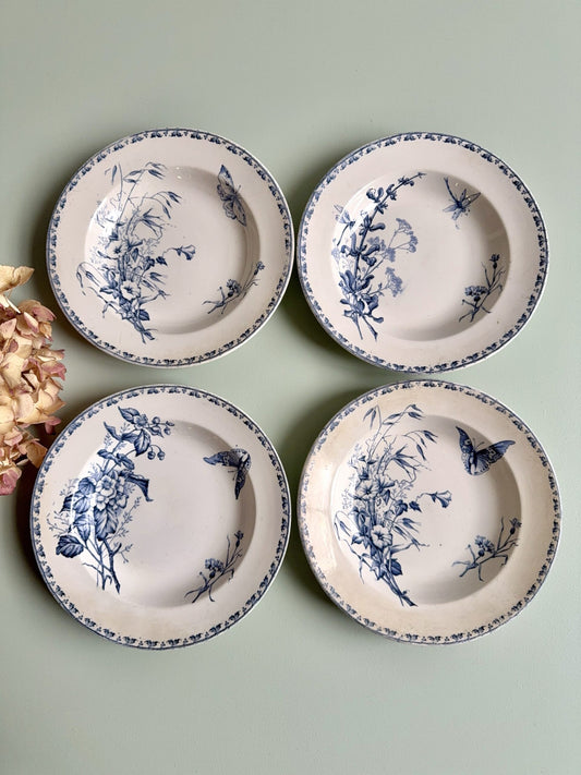 Assiettes creuses Carmen Sarreguemines - lot de 4