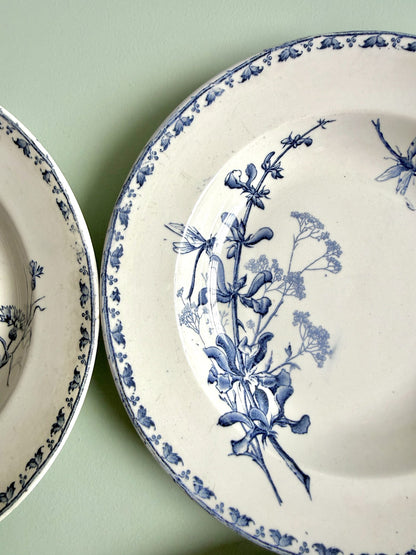 Assiettes creuses Carmen Sarreguemines - lot de 4