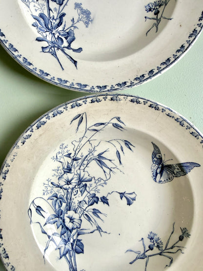 Assiettes creuses Carmen Sarreguemines - lot de 4