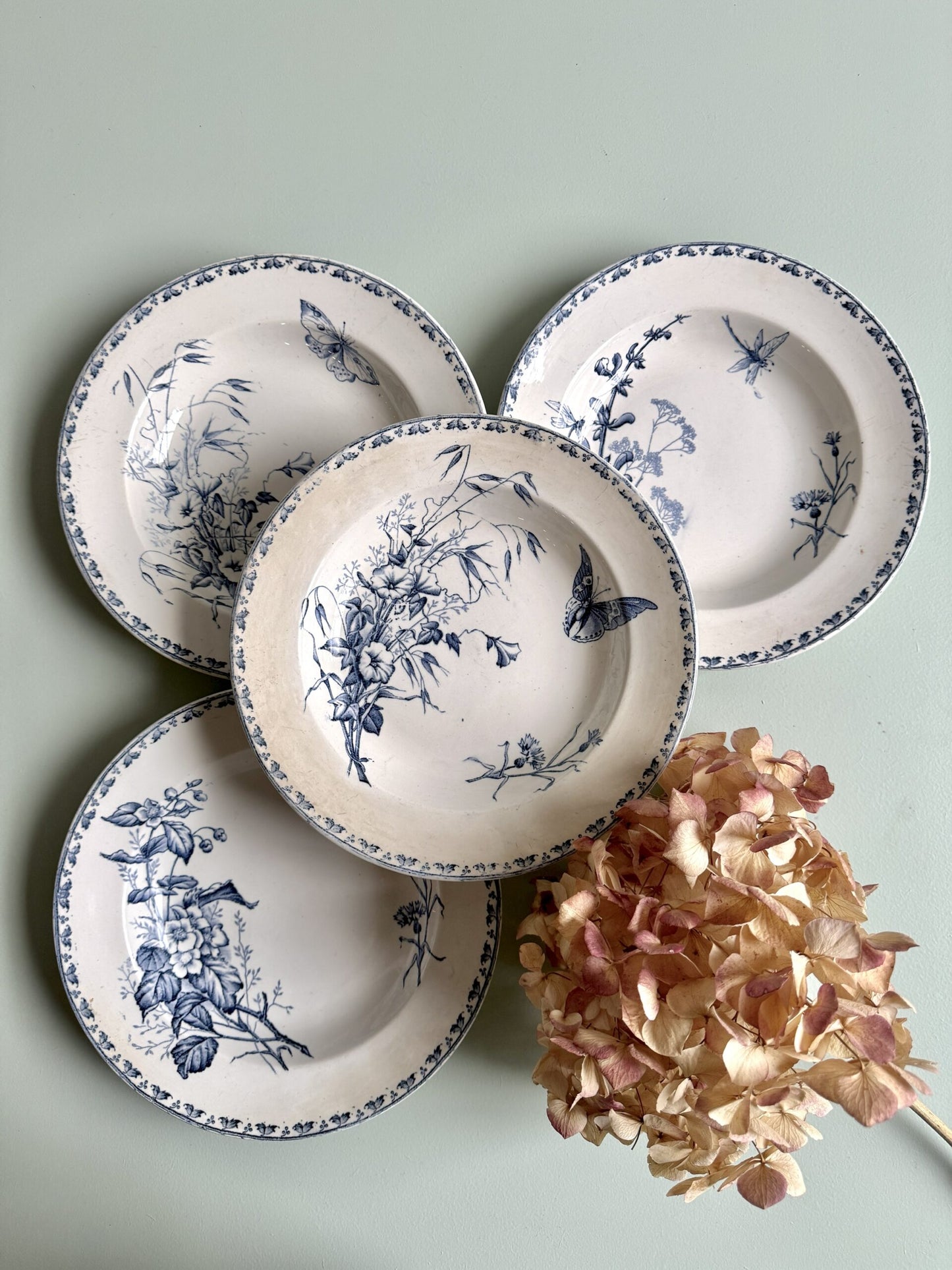 Assiettes creuses Carmen Sarreguemines - lot de 4