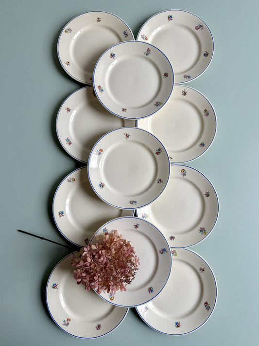 Assiettes à dessert Badonviller en demi-porcelaine - lot de 11