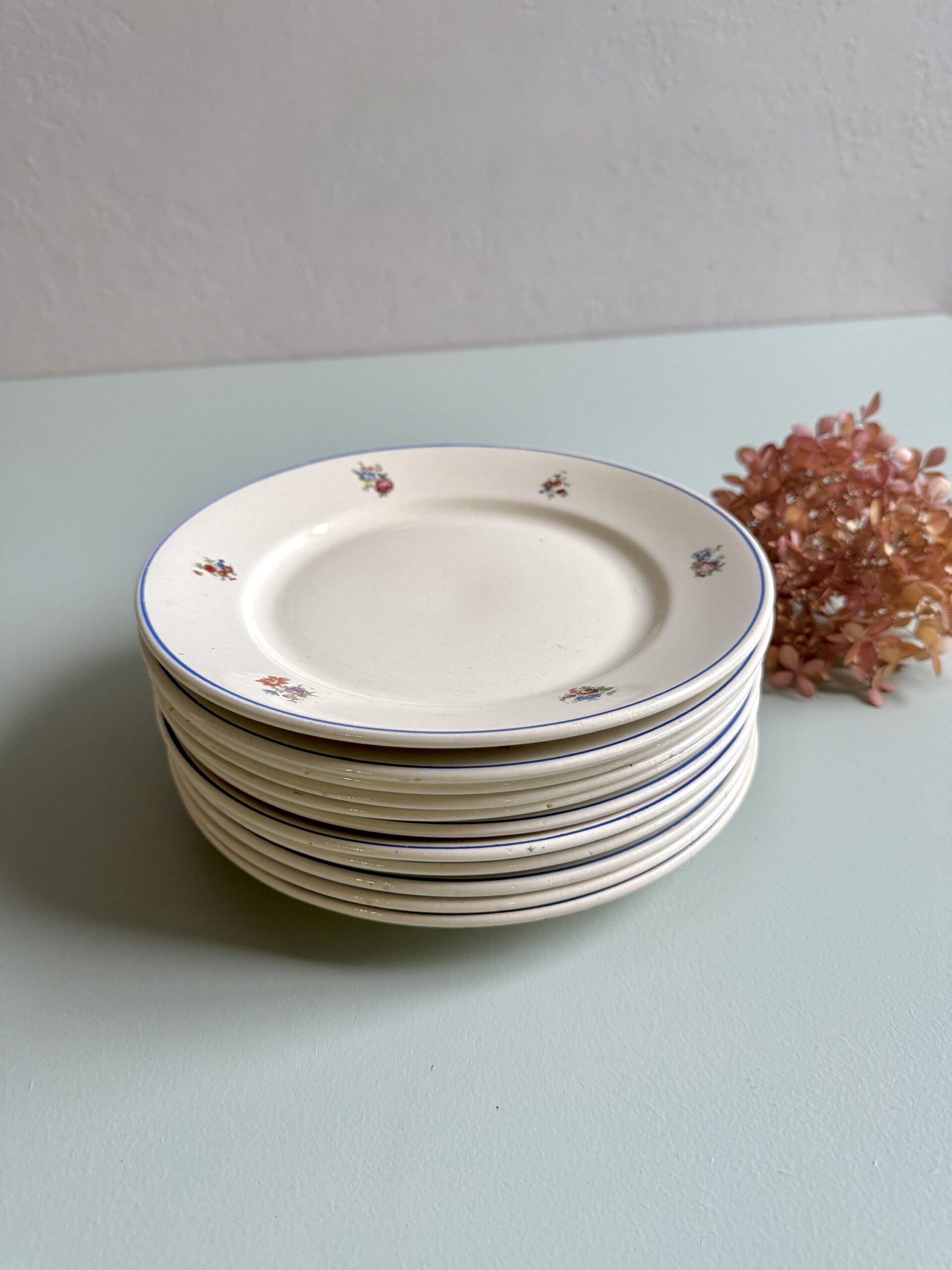 Assiettes à dessert Badonviller en demi-porcelaine - lot de 11