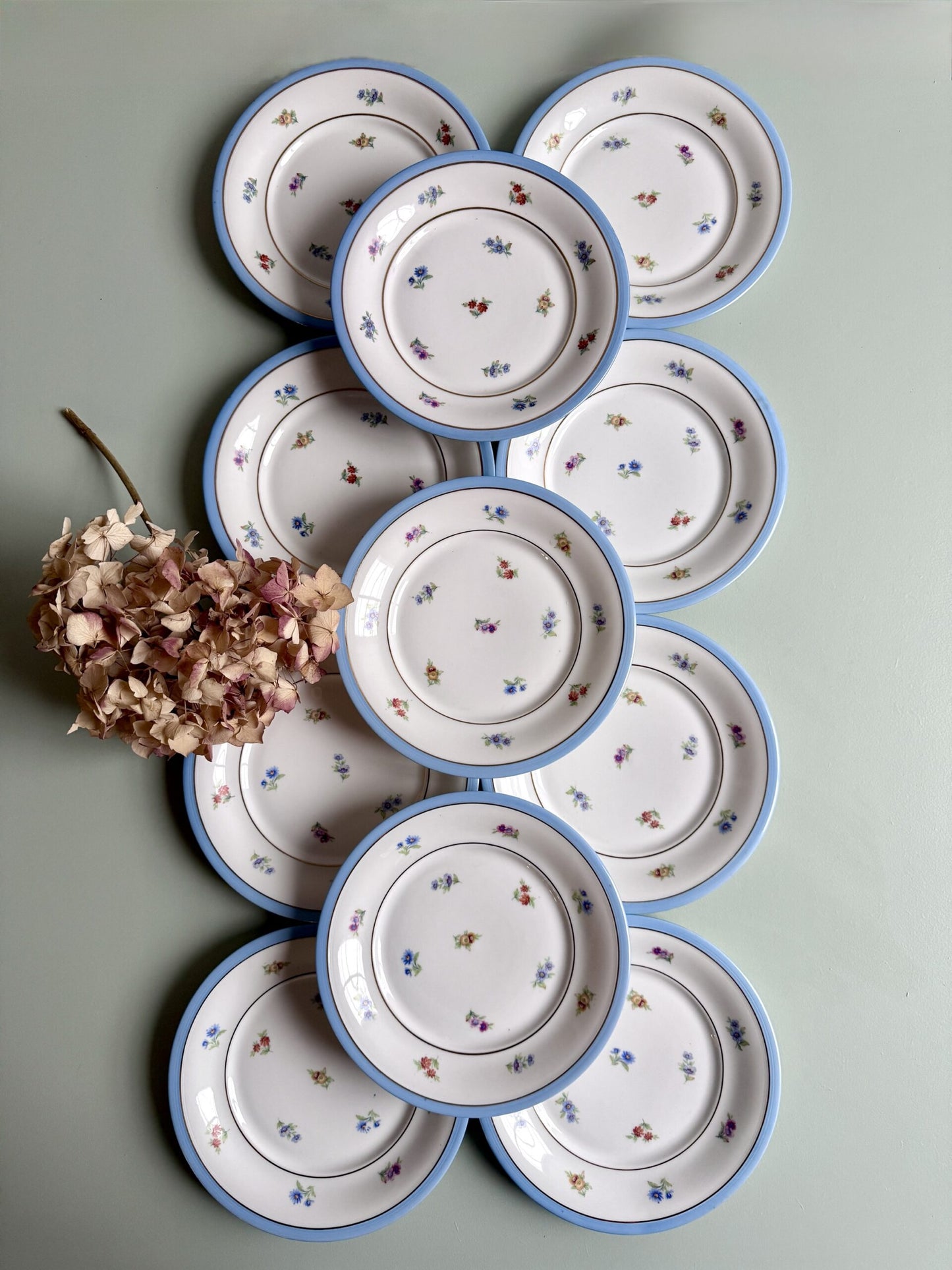 Assiettes plates en porcelaine FP - lot de 11