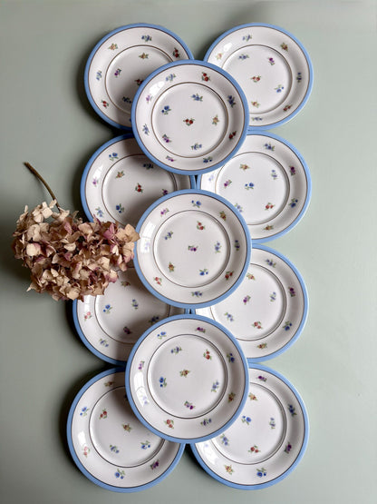 Assiettes plates en porcelaine FP - lot de 11