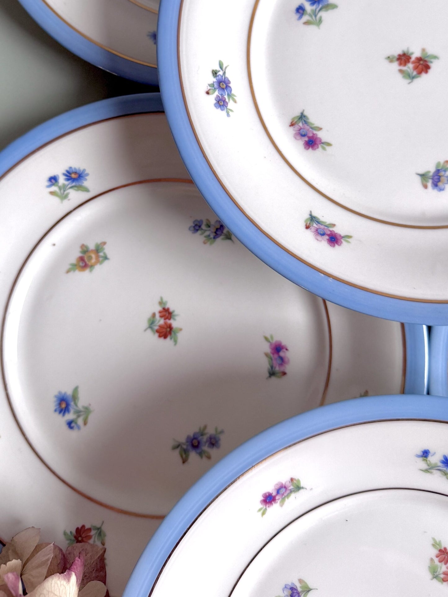 Assiettes plates en porcelaine FP - lot de 11