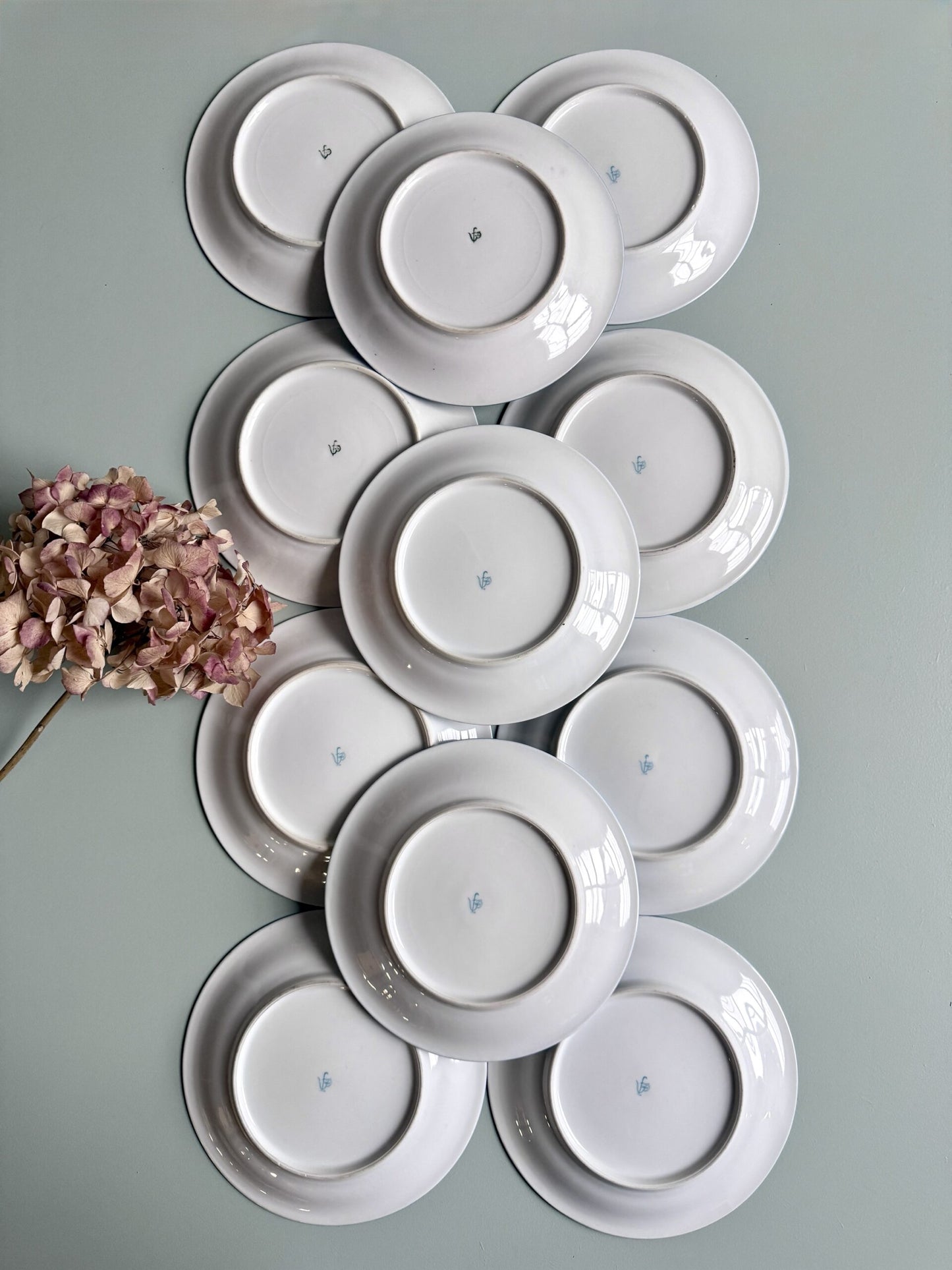 Assiettes plates en porcelaine FP - lot de 11