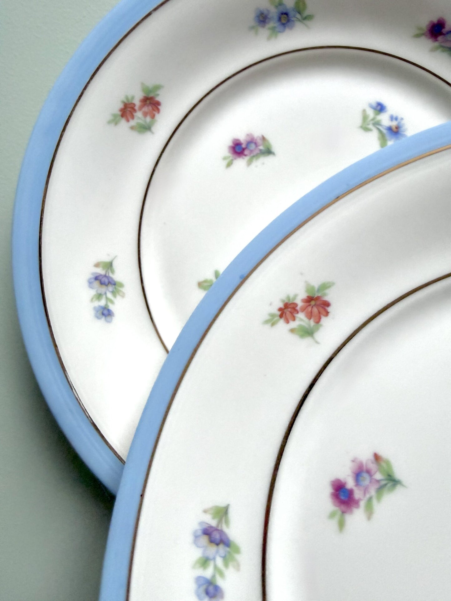 Assiettes plates en porcelaine FP - lot de 11