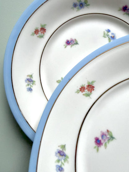 Assiettes plates en porcelaine FP - lot de 11