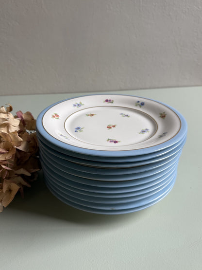 Assiettes plates en porcelaine FP - lot de 11