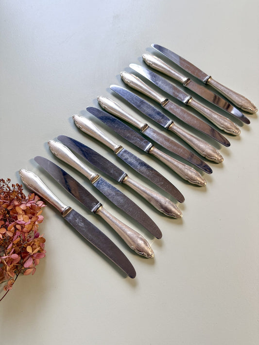 Couteaux inoxydables- lot de 12