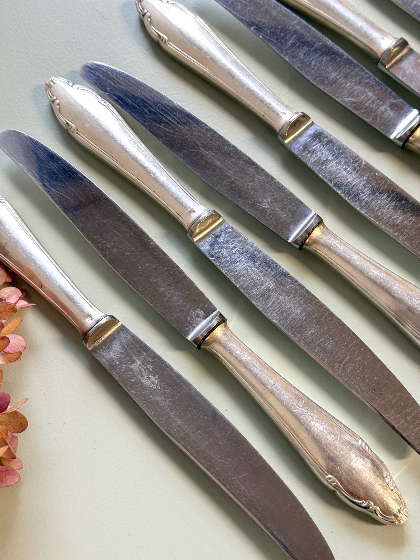 Couteaux inoxydables- lot de 12