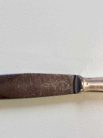 Couteaux inoxydables- lot de 12