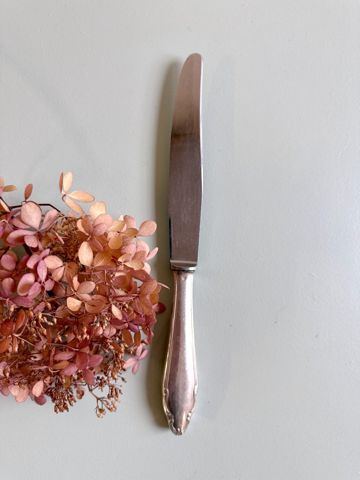 Couteaux inoxydables- lot de 12