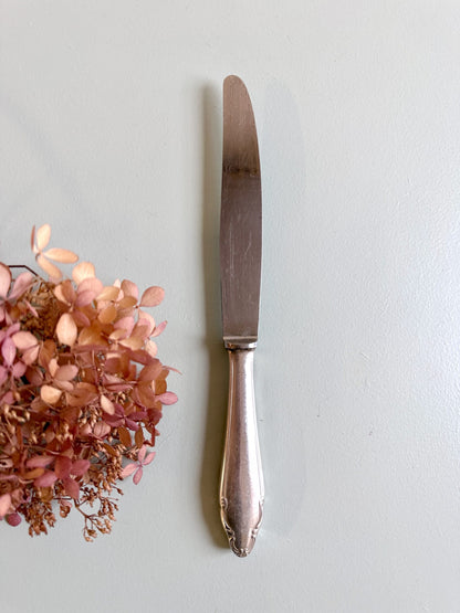 Couteaux inoxydables- lot de 12