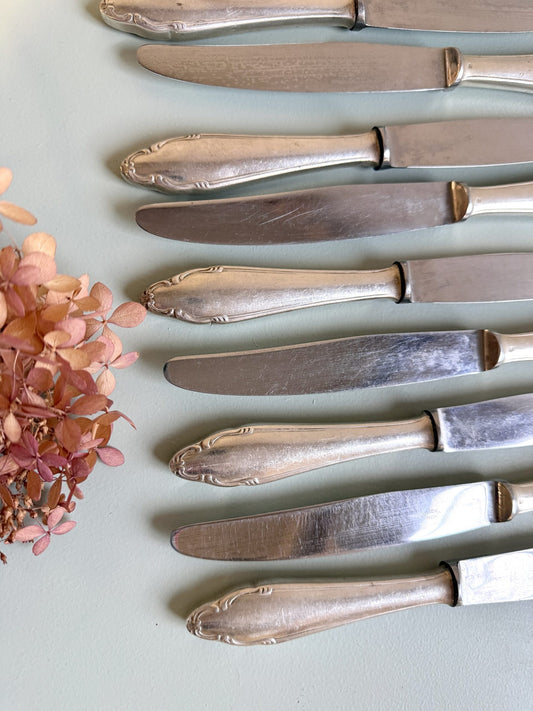 Couteaux inoxydables- lot de 12