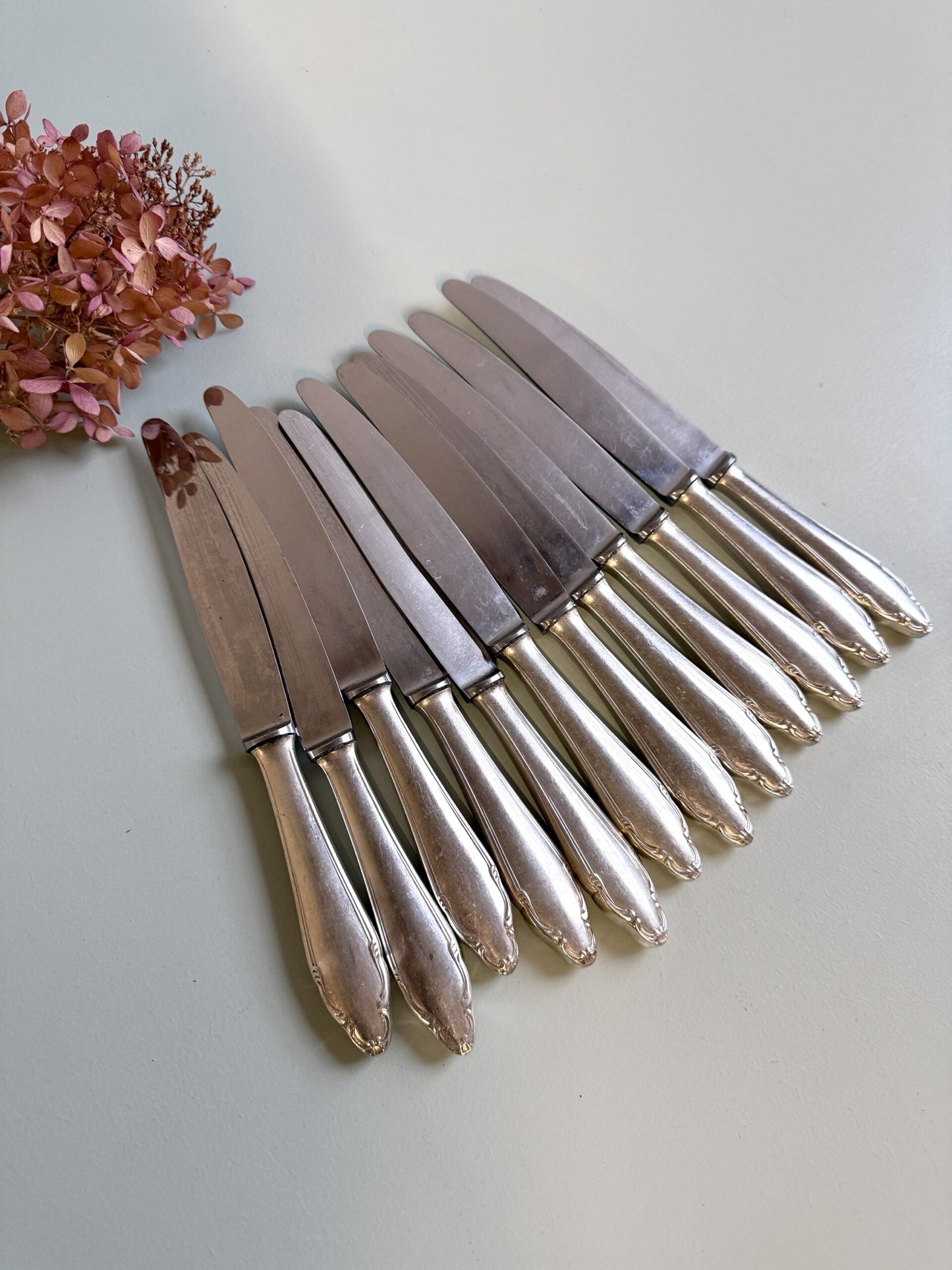 Couteaux inoxydables- lot de 12