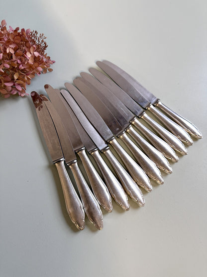 Couteaux inoxydables- lot de 12