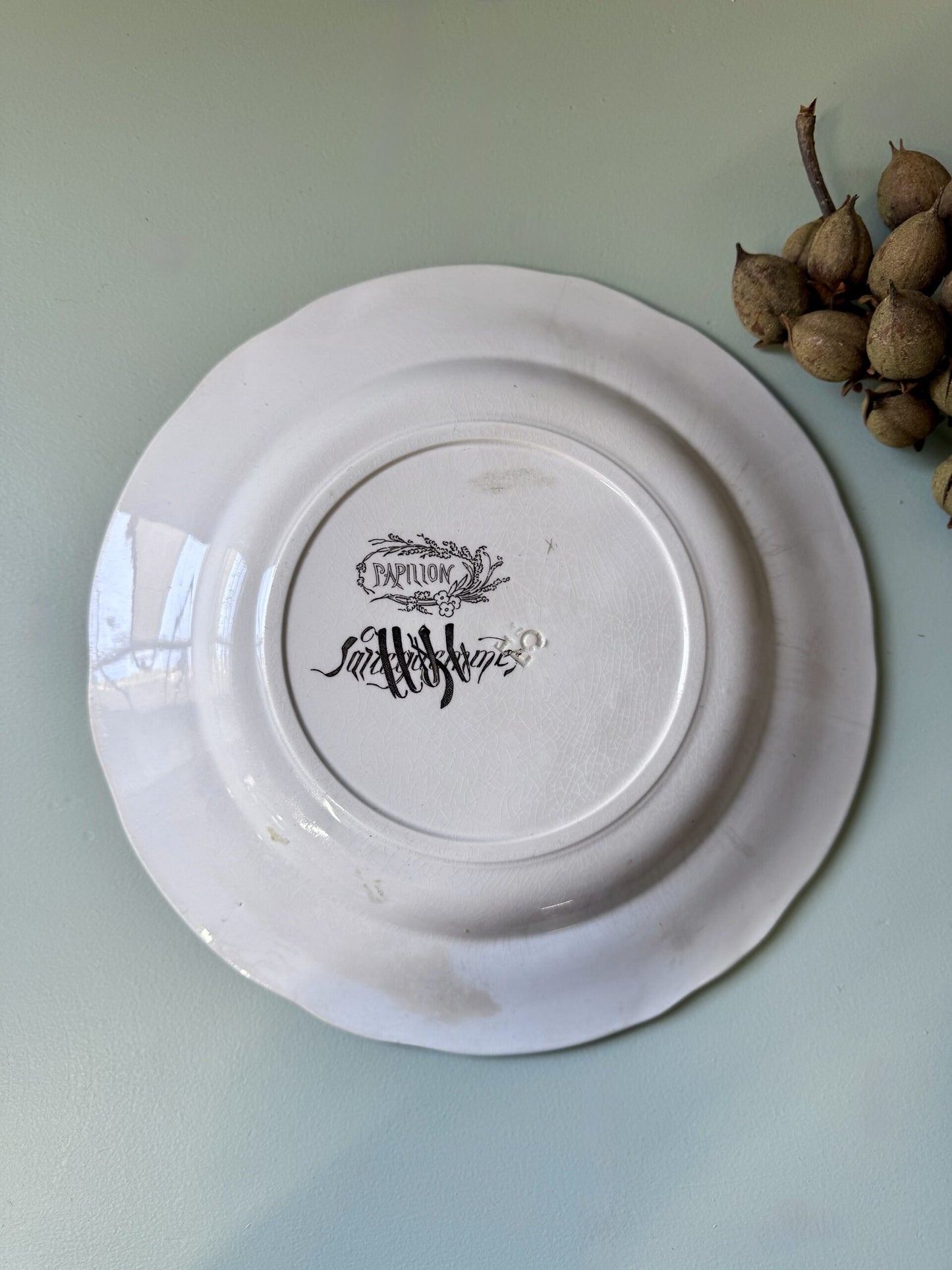 Assiette plate modèle Papillon de Sarreguemines