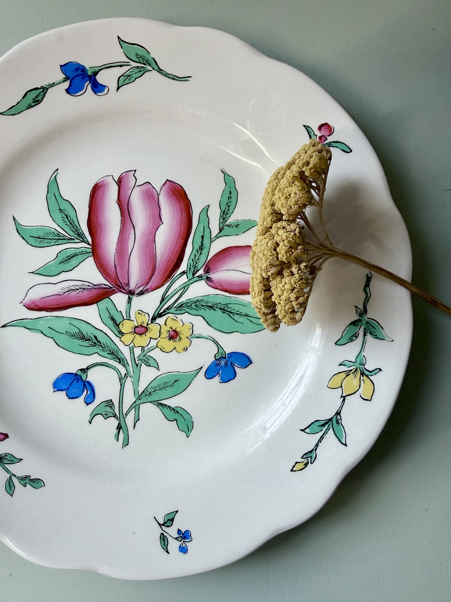 Assiette modèle Riquewihr de Sarreguemines