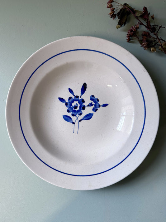 Assiette creuse Claire de Sarreguemines