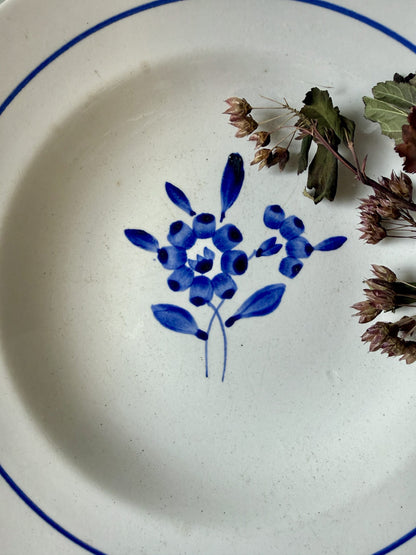 Assiette creuse Claire de Sarreguemines