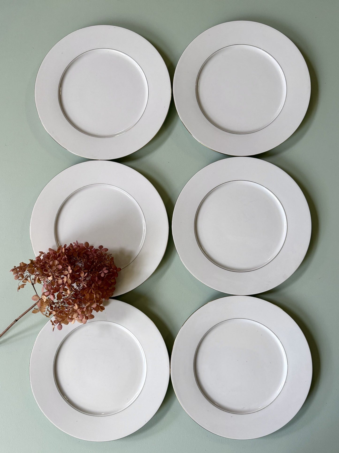 Assiettes plates blanches et liseré doré - lot de 6