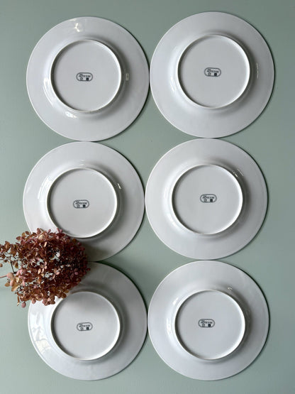 Assiettes plates blanches et liseré doré - lot de 6