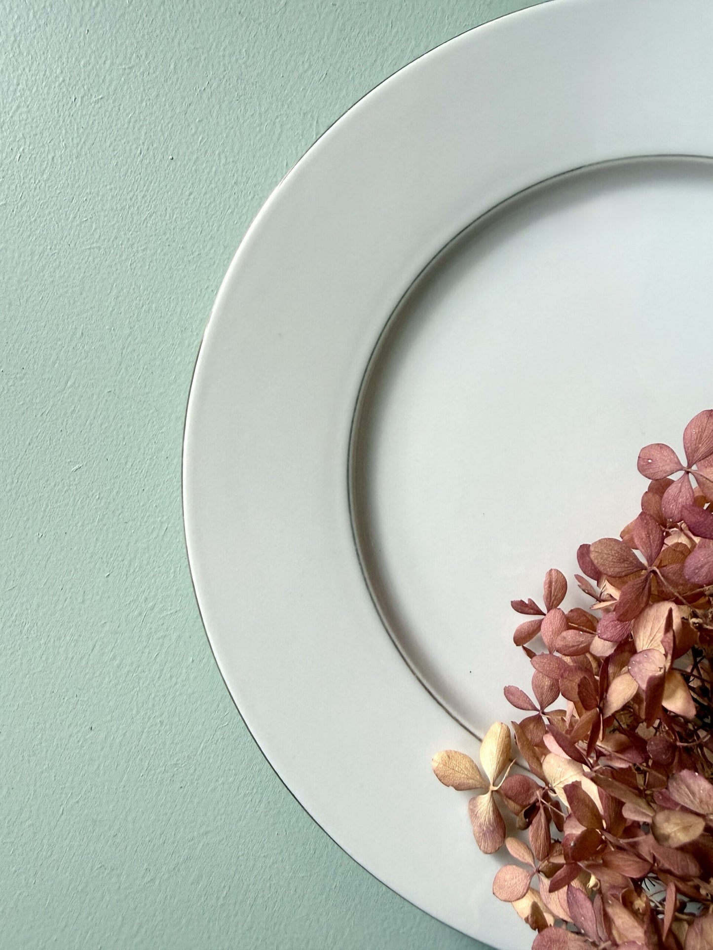 Assiettes plates blanches et liseré doré - lot de 6