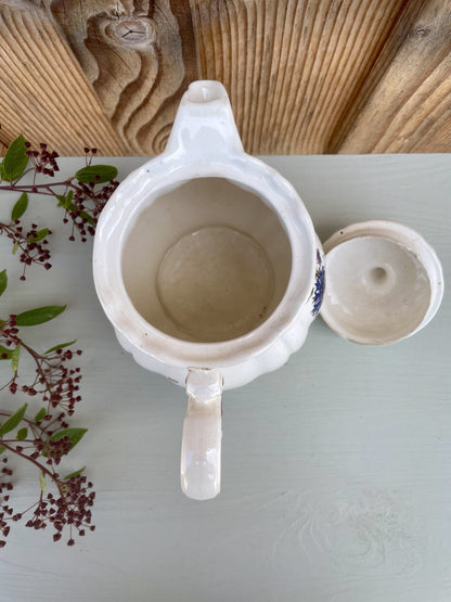 Théière Agreste Sarreguemines