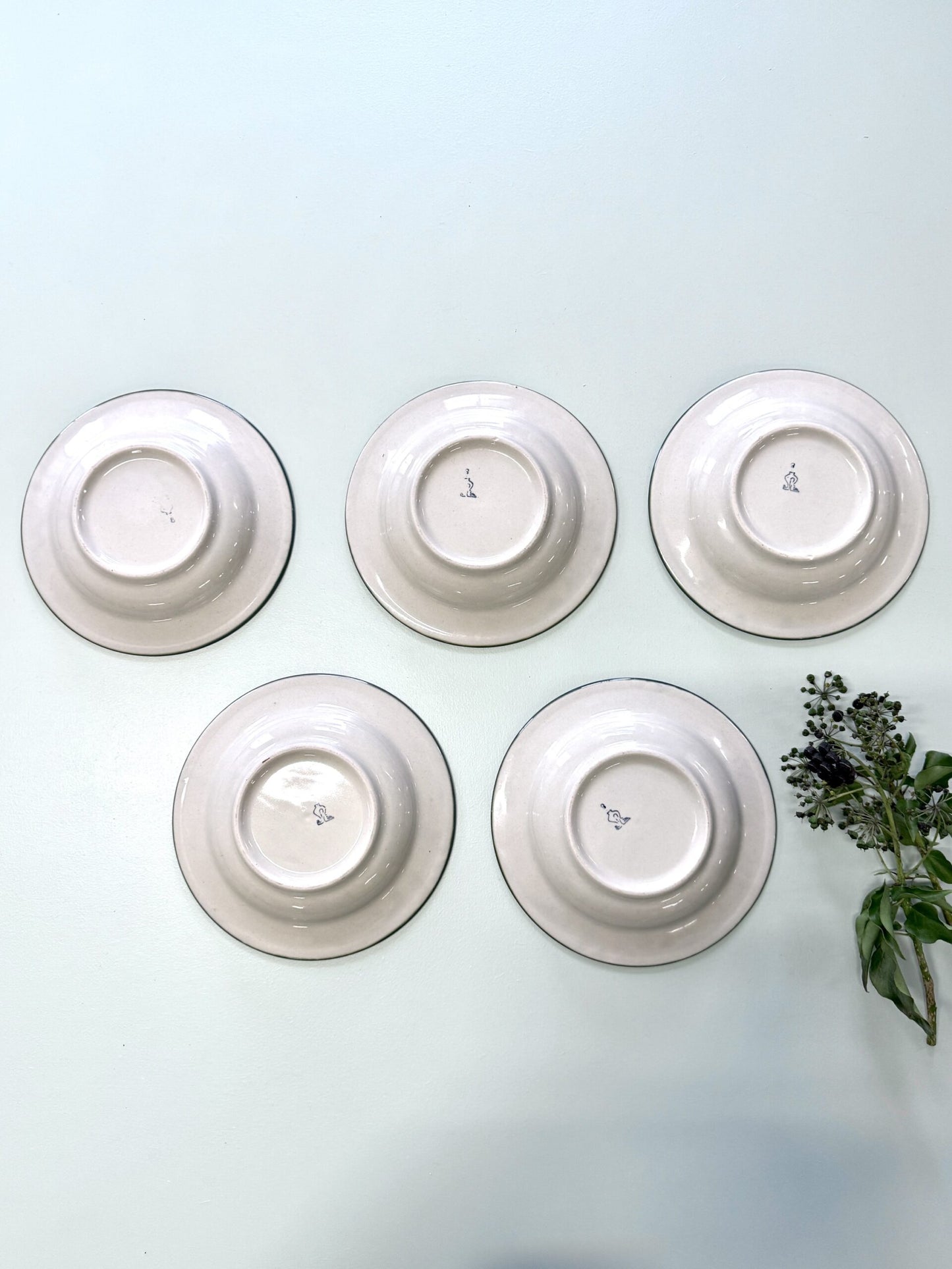 Assiettes creuses beige avec liseré vert - lot de 5