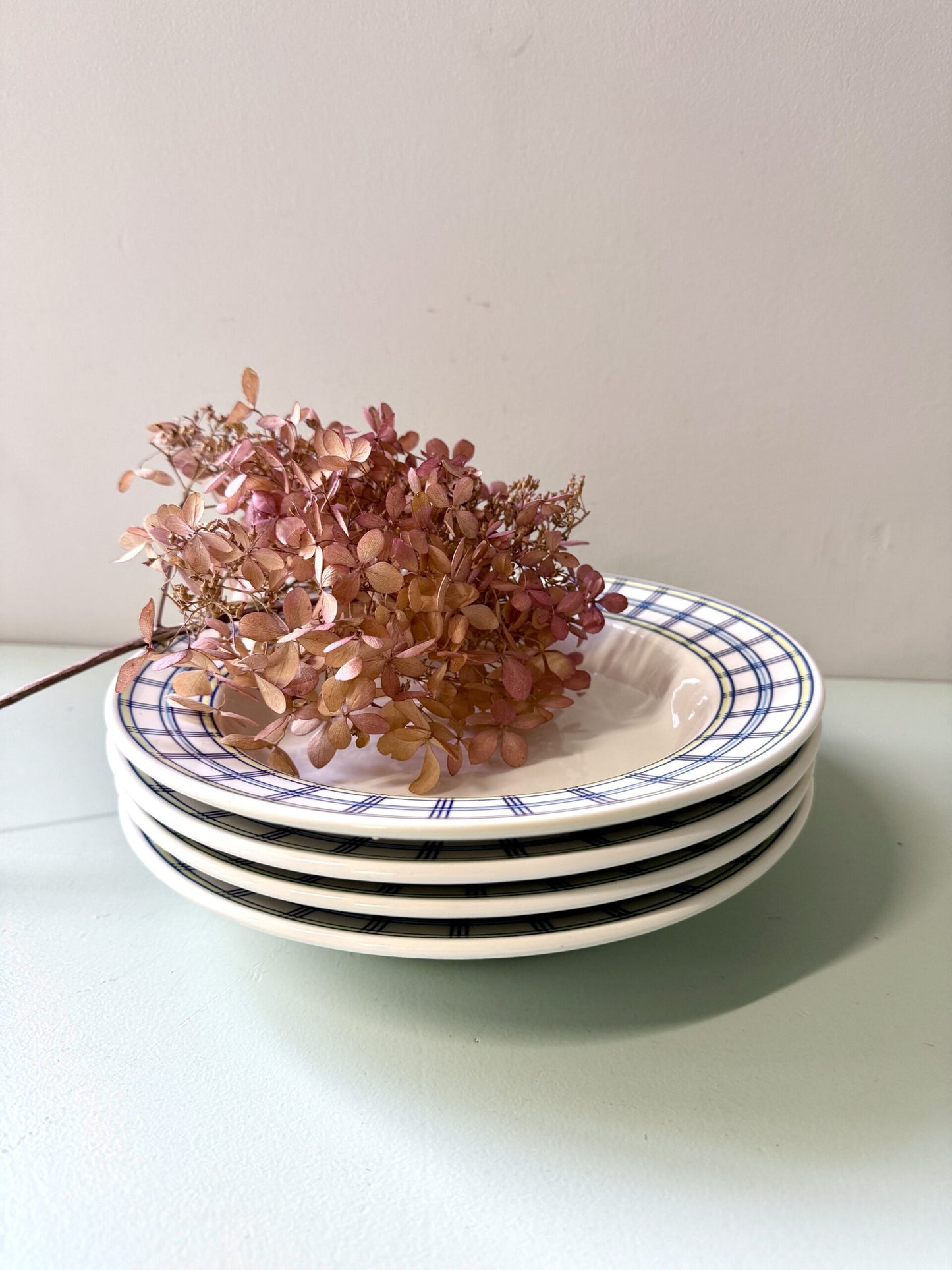 Assiettes creuses en céramique Pagnossin- lot de 4